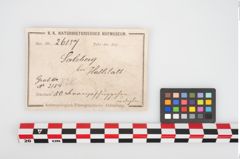 Etikett zu Bronzegewandbesatzknöpfchen (NHMW-PRAE-026157)